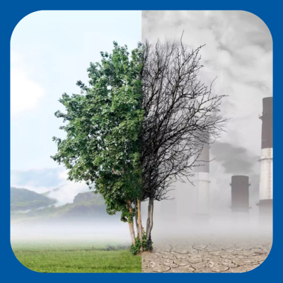 Environmental Exposure Testing